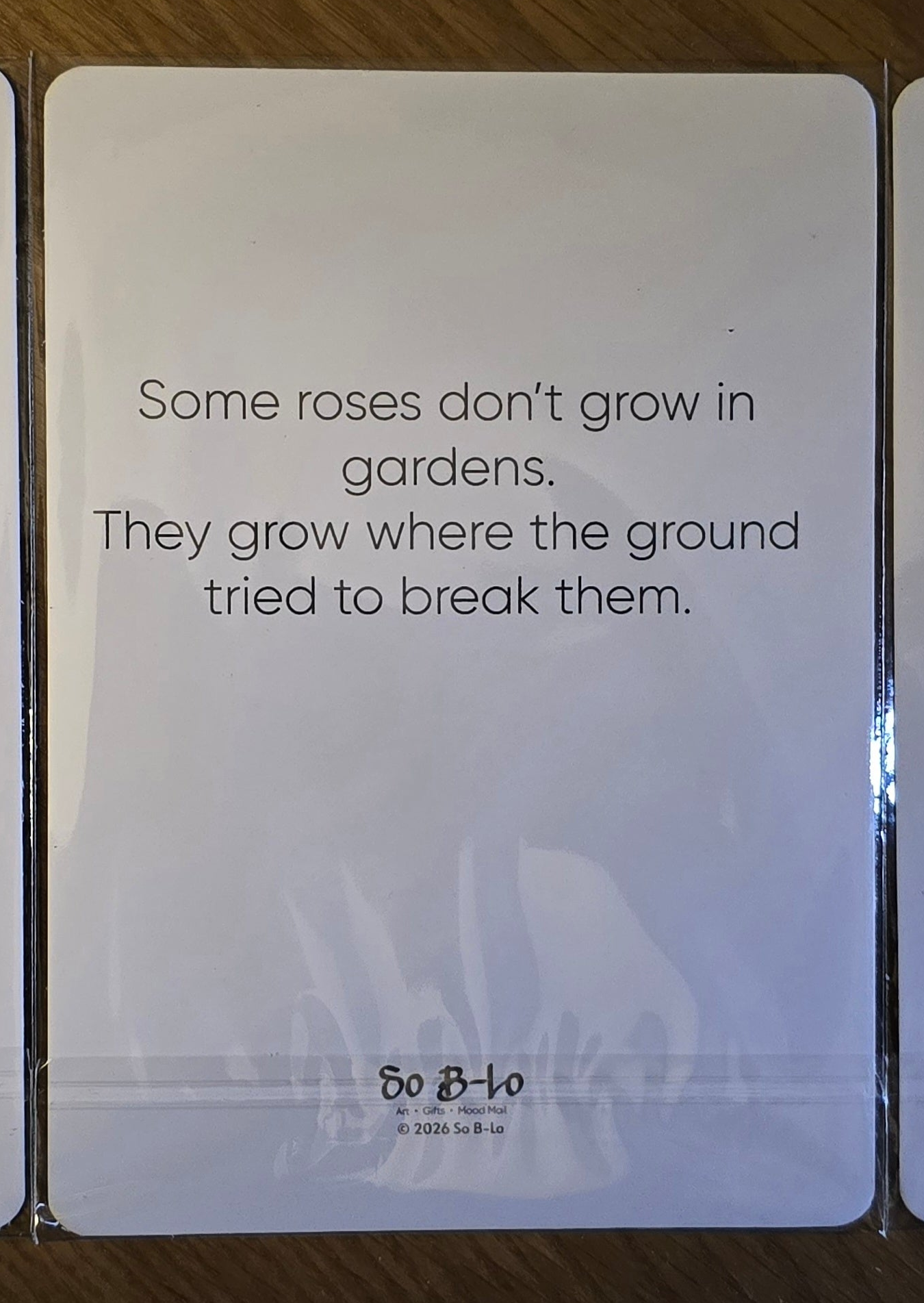 Mood Mail "Rose From the Concrete" 5x7 Art Print Bundle (Set of 3)