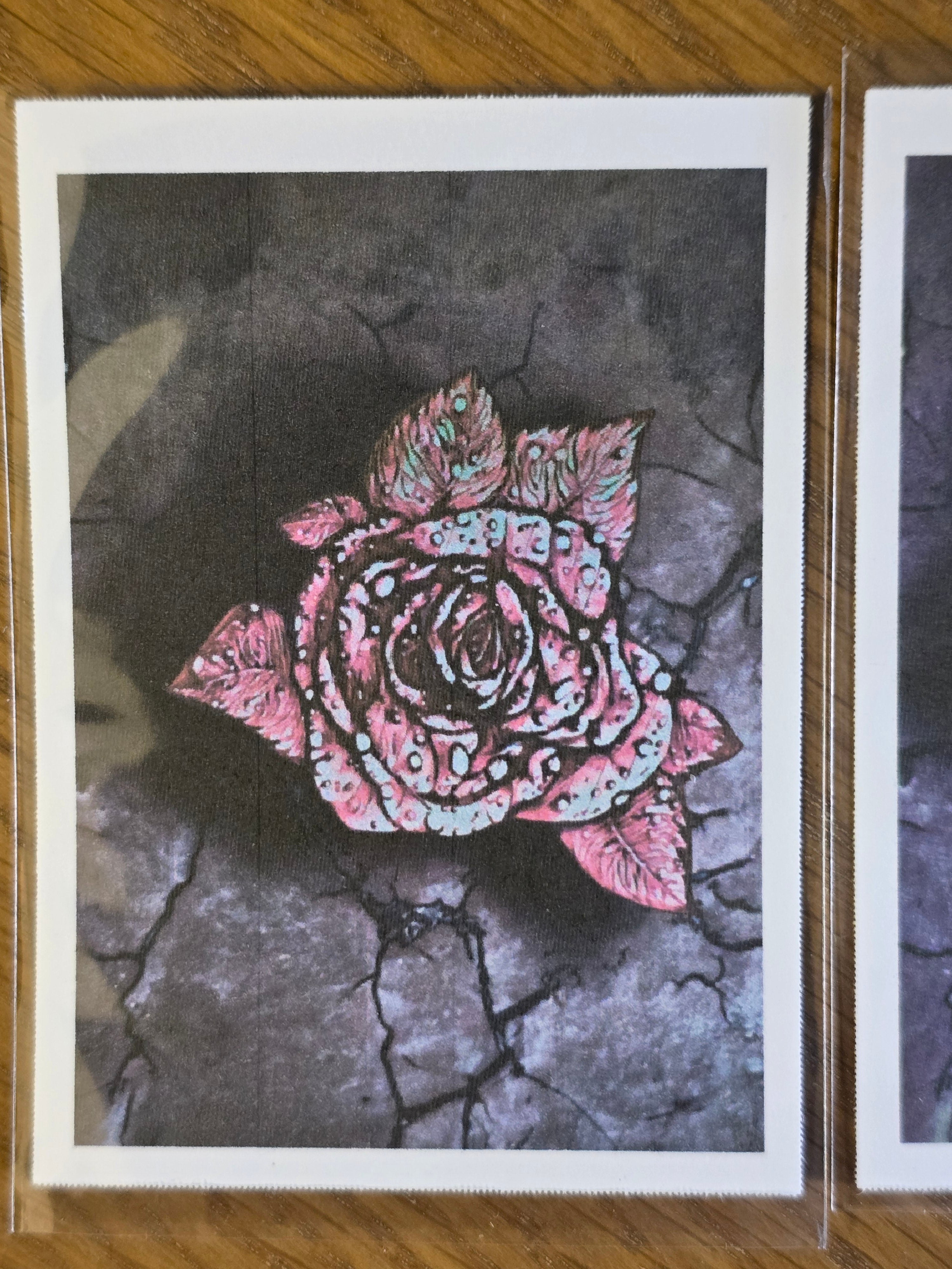 Mood Mail "Rose from the Concrete" 2.5×3.5 ACEO Art Print Bundle (Set of 3)