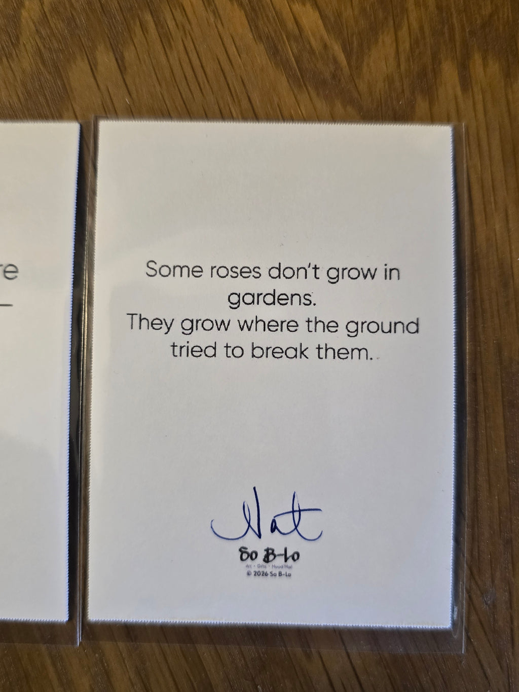 Mood Mail "Rose from the Concrete" 2.5×3.5 ACEO Art Print Bundle (Set of 3)